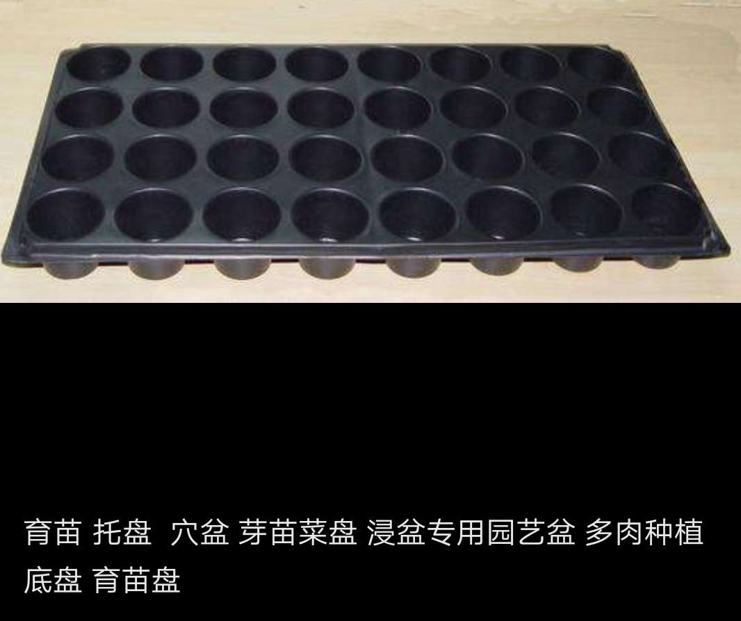吸塑育苗苗芽菜盘